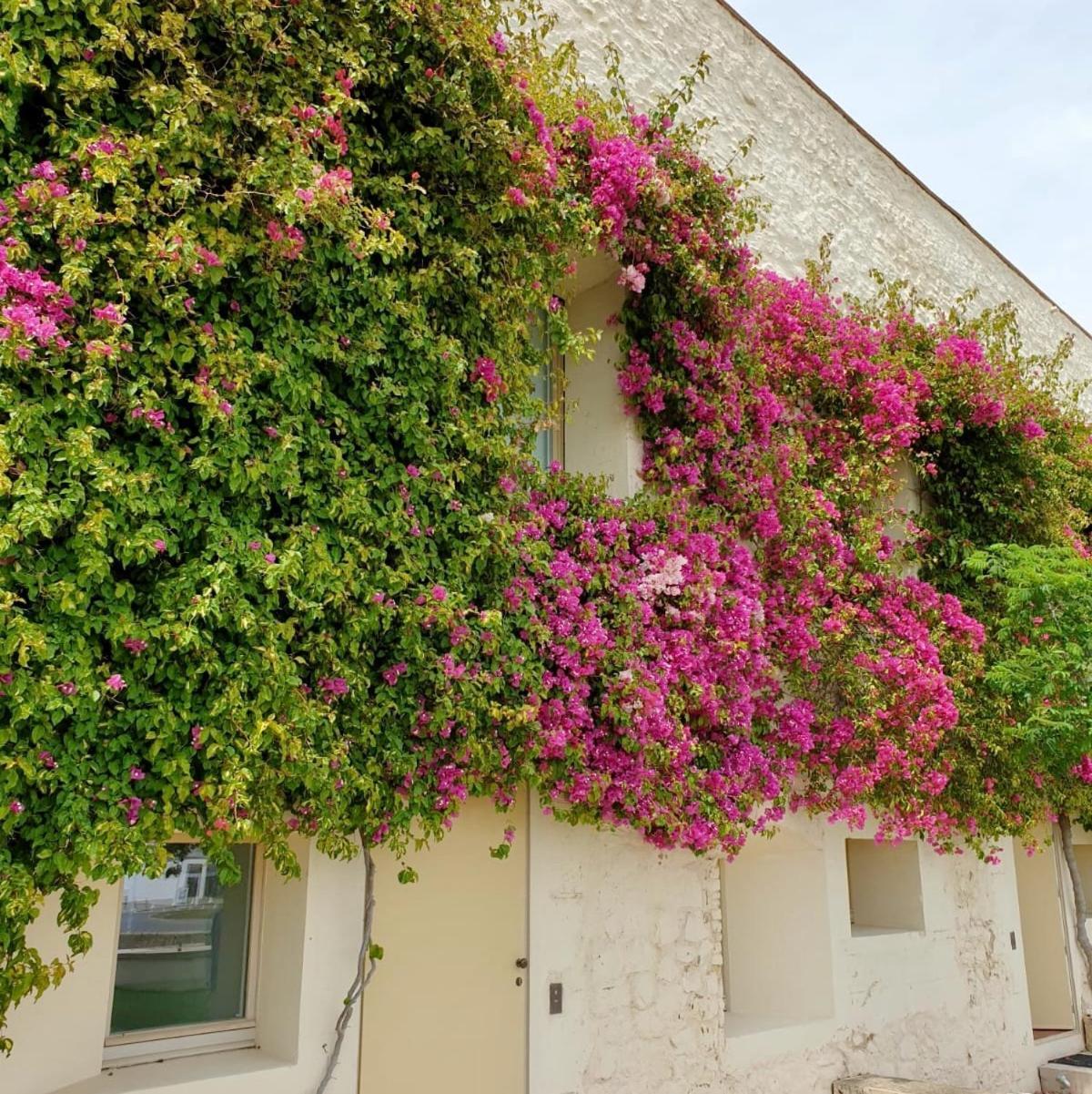 Apartamento Convento Das Bernadas Tavira Buitenkant foto