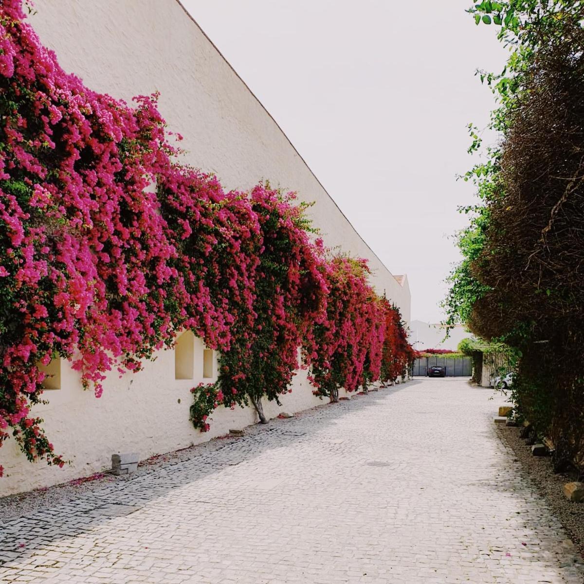 Apartamento Convento Das Bernadas Tavira Buitenkant foto
